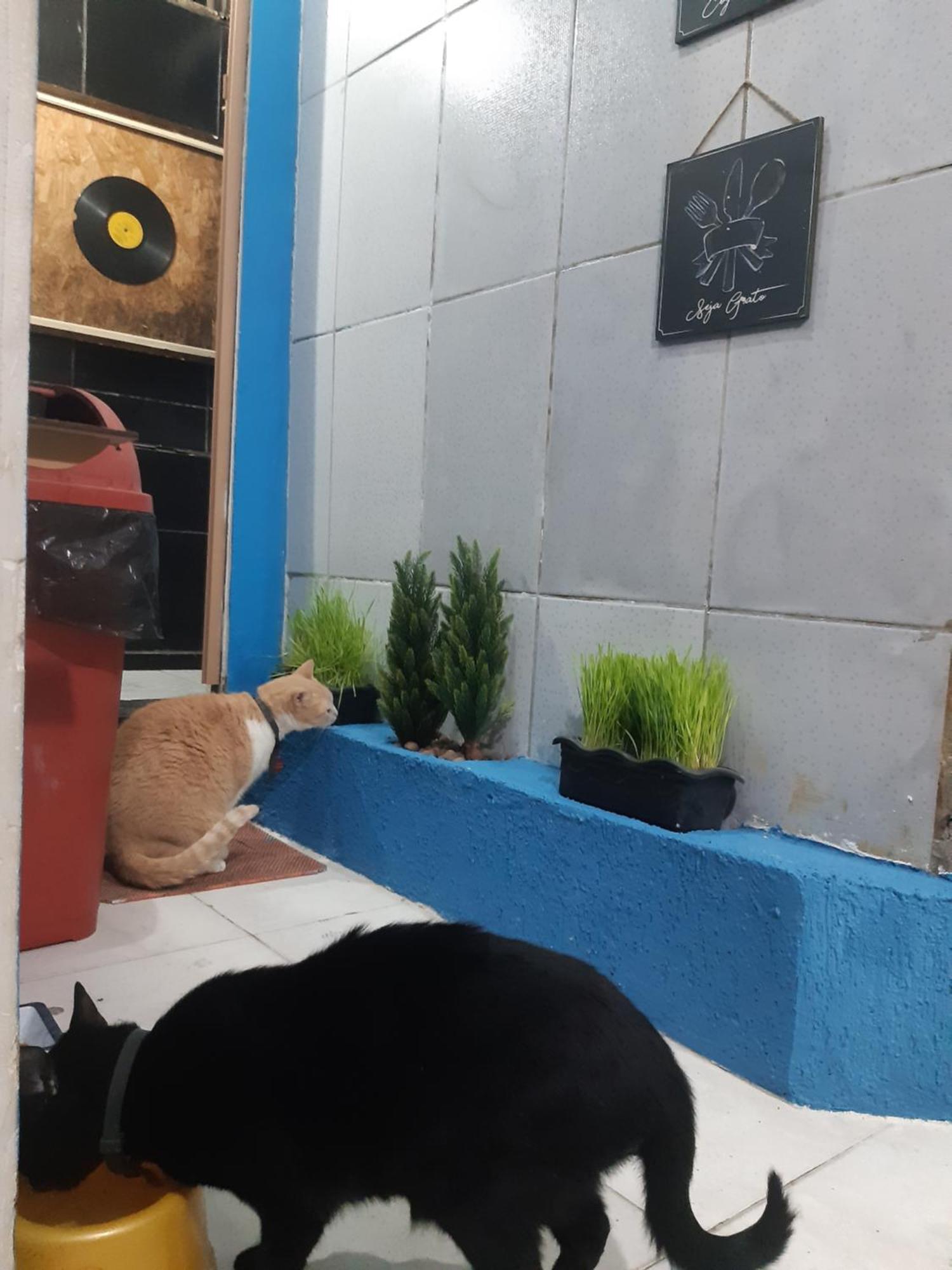 Sapucali Privative Hostel Rio de Janeiro Exterior photo
